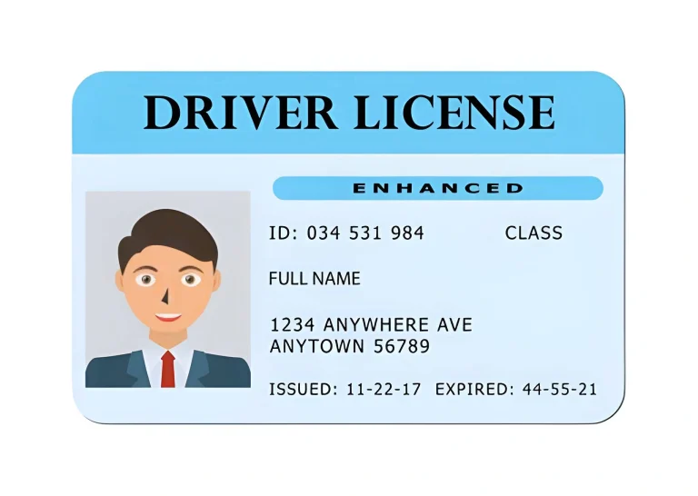 driving licence creator