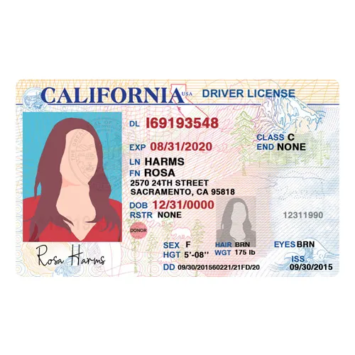california-driving-license California Driver’s License