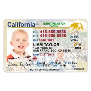 California ID Card