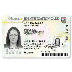 canada-driving-license Canadian Driver’s License