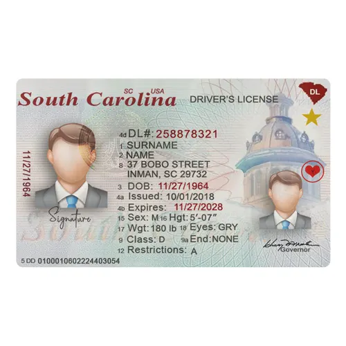 south-carolina-driving-license South Carolina Driver’s License